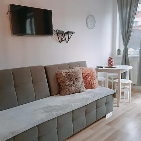 Studio Terjano