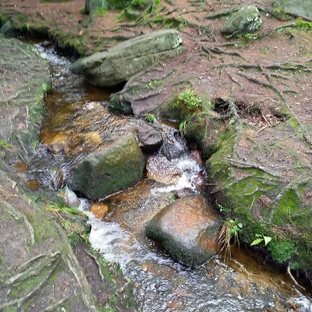 Apartment Studio Terjano *