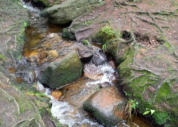 Apartament Studio Terjano *