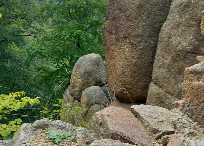 Apartament Studio Terjano *